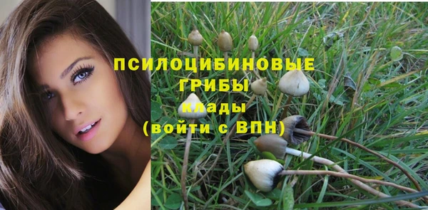 ПСИЛОЦИБИНОВЫЕ ГРИБЫ Зеленокумск