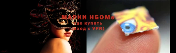 гидропоника Зеленодольск